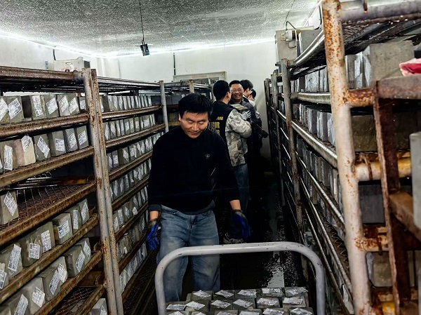 質(zhì)檢公司團結協(xié)作 - 副本.jpg