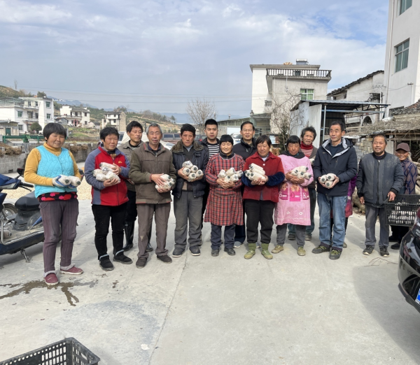 1705914407121944.png 圖片1.png